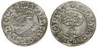 Polska, grosz, 1534
