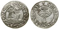 Polska, grosz, 1535