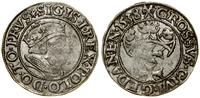 Polska, grosz, 1538