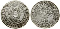 Polska, grosz, 1539