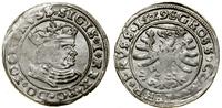 Polska, grosz, 1529