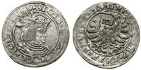 Polska, grosz, 1529