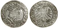 Polska, grosz, 1531