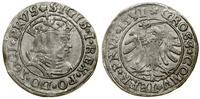 Polska, grosz, 1531