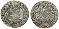 Polska, grosz, 1532