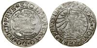 Polska, grosz, 1533