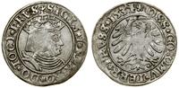 Polska, grosz, 1531