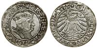 Polska, grosz, 1535