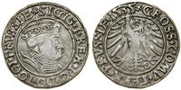 Polska, grosz, 1535