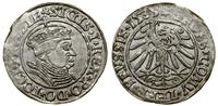 Polska, grosz, 1535