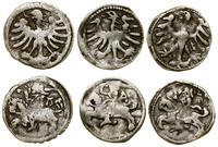 Polska, zestaw 3 x denar litewski