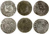 Polska, zestaw: 3 x szeląg, 1592–1600