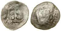 Litwa, pieniądz (denar), (1436–1440)
