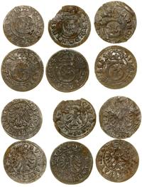 Śląsk, zestaw: 6 x obol, 1651–1654