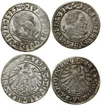 Prusy Książęce (1525–1657), grosz, 1531–1539