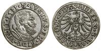 Prusy Książęce (1525–1657), grosz, 1531