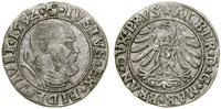 Prusy Książęce (1525–1657), grosz, 1532