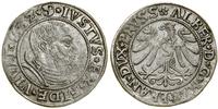 Prusy Książęce (1525–1657), grosz, 1532
