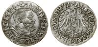 Prusy Książęce (1525–1657), grosz, 1534
