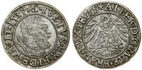 Prusy Książęce (1525–1657), grosz, 1537