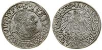 Prusy Książęce (1525–1657), grosz, 1538