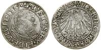 Prusy Książęce (1525–1657), grosz, 1539