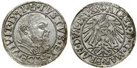 Prusy Książęce (1525–1657), grosz, 1541