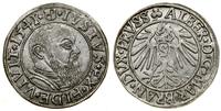 Prusy Książęce (1525–1657), grosz, 1541