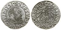 Prusy Książęce (1525–1657), grosz, 1541