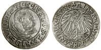 Prusy Książęce (1525–1657), grosz, 1541