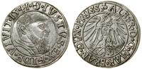 Prusy Książęce (1525–1657), grosz, 1541