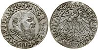 Prusy Książęce (1525–1657), grosz, 1542