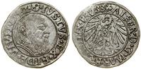 Prusy Książęce (1525–1657), grosz, 1542