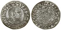 Prusy Książęce (1525–1657), grosz, 1542