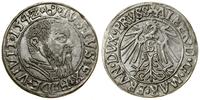 Prusy Książęce (1525–1657), grosz, 1542