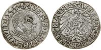 Prusy Książęce (1525–1657), grosz, 1543