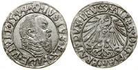 Prusy Książęce (1525–1657), grosz, 1544
