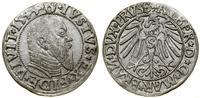 Prusy Książęce (1525–1657), grosz, 1544