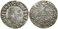 Prusy Książęce (1525–1657), grosz, 1544