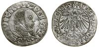 Prusy Książęce (1525–1657), grosz, 1545
