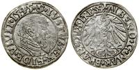 Prusy Książęce (1525–1657), grosz, 1545