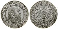 Prusy Książęce (1525–1657), grosz, 1545
