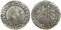 Prusy Książęce (1525–1657), grosz, 1545