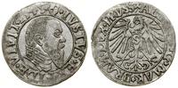 Prusy Książęce (1525–1657), grosz, 1545