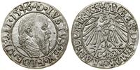 Prusy Książęce (1525–1657), grosz, 1546