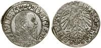 Prusy Książęce (1525–1657), grosz, 1546