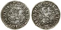 Polska, półgrosz, 1509