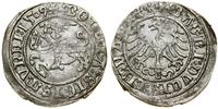 Polska, półgrosz, 1509