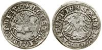 Polska, półgrosz, 1510