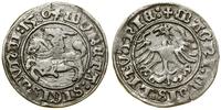 Polska, półgrosz, 1510